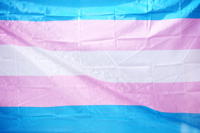 Trans pride flag: a horizontal band of white sandwiched by two bands of pink, sandwiched by two bands of blue.